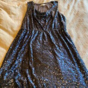 Blue Sequin J-Crew Dress